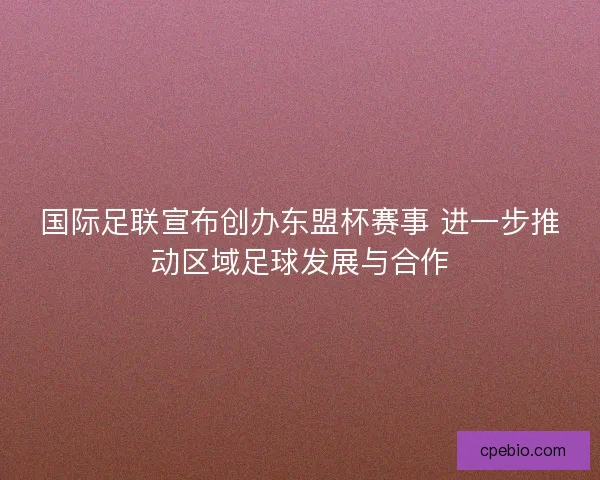 国际足联宣布创办东盟杯赛事 进一步推动区域足球发展与合作