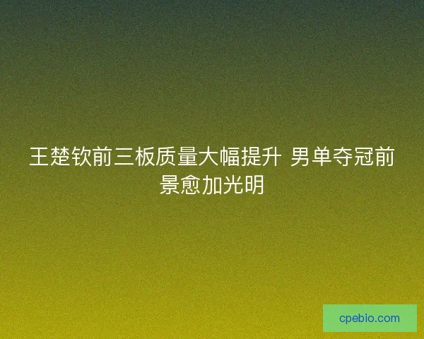 王楚钦前三板质量大幅提升 男单夺冠前景愈加光明